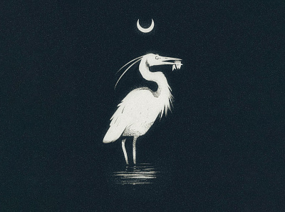 Night Heron art bird design digital art heron illustration illustrator