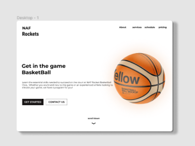 landing page for basketball academy