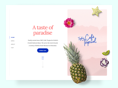 Tropical Web Design (Schitt's Creek)