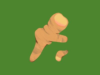 🥬 ginger illustration vegetable
