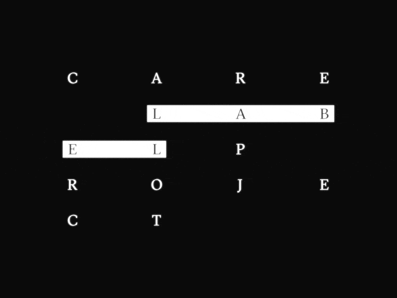 Care Label Project