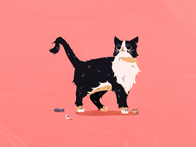 Haddock cat character design illustration photoshop