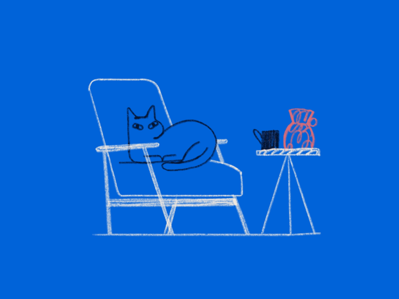 First animation of 2019 animation cat design illustration loop motion photoshop