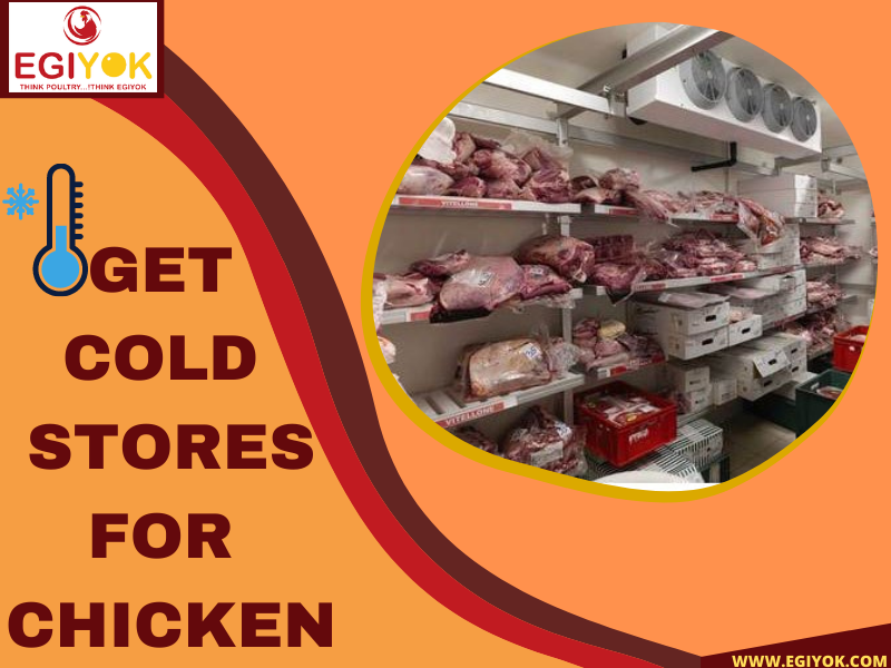 GET COLD STORES FOR CHICKEN by sukhpreet on Dribbble