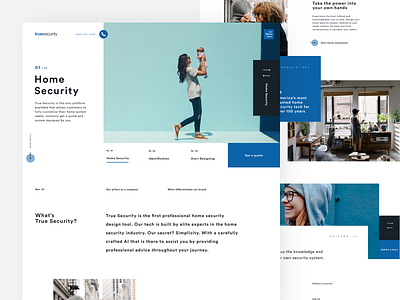 True Security Homepage blue clean design home homepage layout minimal secure security true typography ui ux