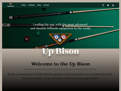 Up Bison - Web Design adobe billiards clean minimal modern simple sports ui ux web website design