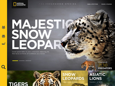 National Geographic - The Endangered Species (Concept) mobile app mobile web national geographic responsive design