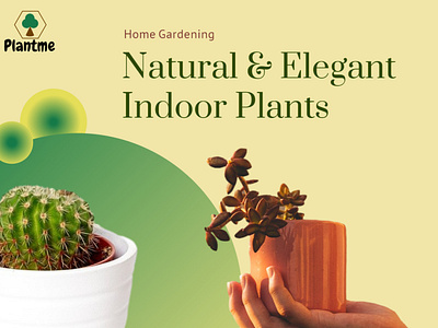 Indoor plants ad branding graphic design