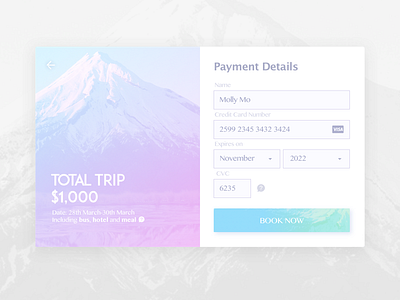 Daily UI Day 002 Credit Card Checkout daily ui