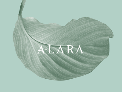 ALARA - Concept Identity branding cards design illustration logo typography ui vector