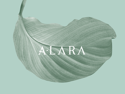 ALARA - Concept Identity