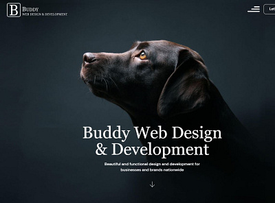 Buddy Web Design & Development website