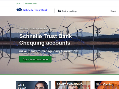 Schnelle Trust Bank Website Development Project
