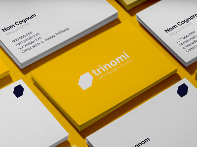Branding Trinomi branding design graphic design logo