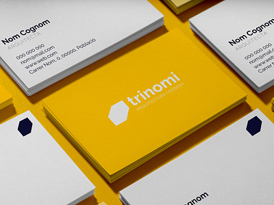 Branding Trinomi