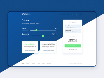 Skyena | Blockchain Internet. Pricing page