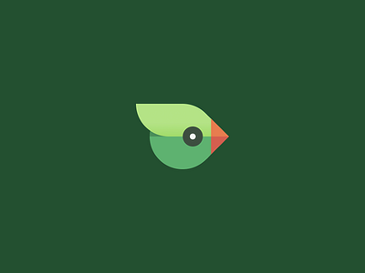 Parrot graphic design green illustration parrot vector