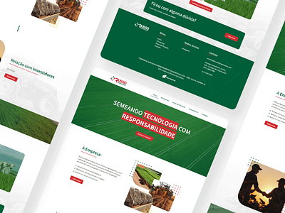 Russo Agropecuária design ui website wordpress