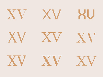 Number 15, Roman numeral typography tests brand brand identity branding cream design gold logo number 15 roman numerals serif serif typeface test typography vector