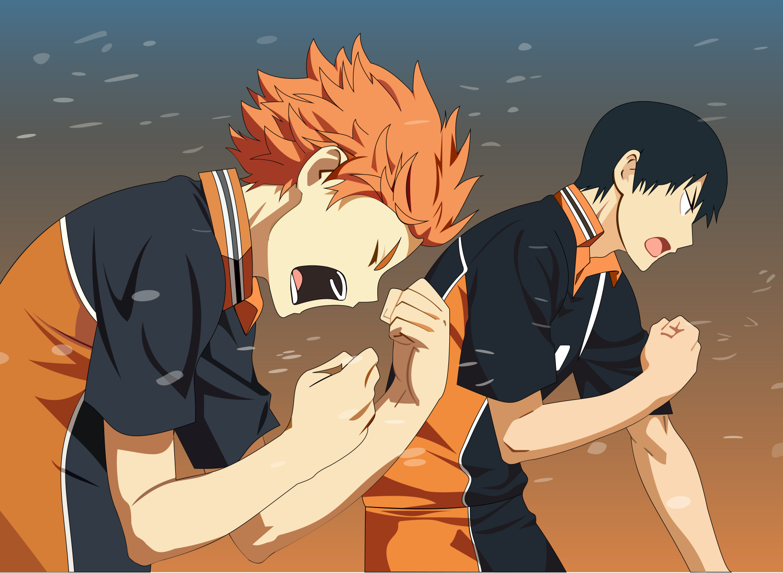 Illustration of Hinata and Kagami from Haikyuu by Vibin on Dribbble