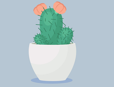 Cactus 100daysofillustration illustration plant