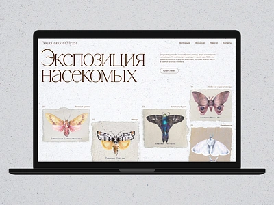 Website for the Zoological Museum — insect exposition design illustration landing page redesign typography ui uxui