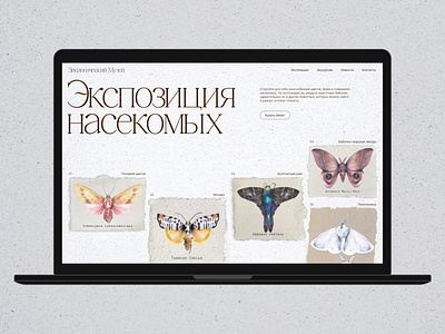 Website for the Zoological Museum — insect exposition