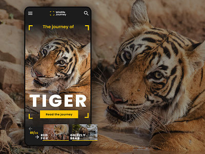wildlife journey - mobile web animal branding design graphic design mobile web ui web design wildlife