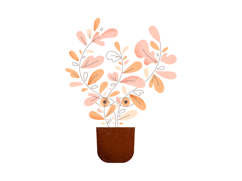 In The Shrubs by Katelynn Lipperman on Dribbble