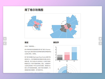 Chinese Nightingale Rose Chart Reference Page chart china chinese data data visualization dataviz graph infographic ui web design website