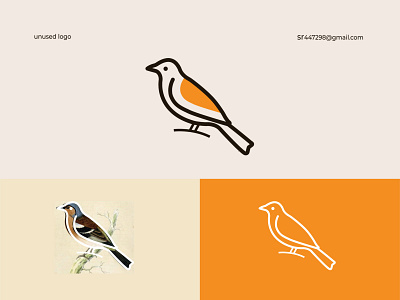 Logo bird logo branding branding logo design graphic design illustration letter logo logo logo design logo designer modern logo monogram typography vector