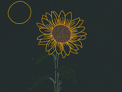 Lineart : Sunflower 🌻 art chloé chloé piteau clean dessin draw drawing flower green illustration line lineart minimalism piteau procreate simple sunflower yellow