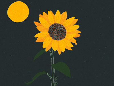 Illustration : Sunflower 🌻