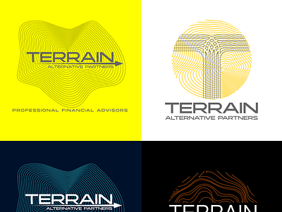 TERRAIN app branding design icon logo