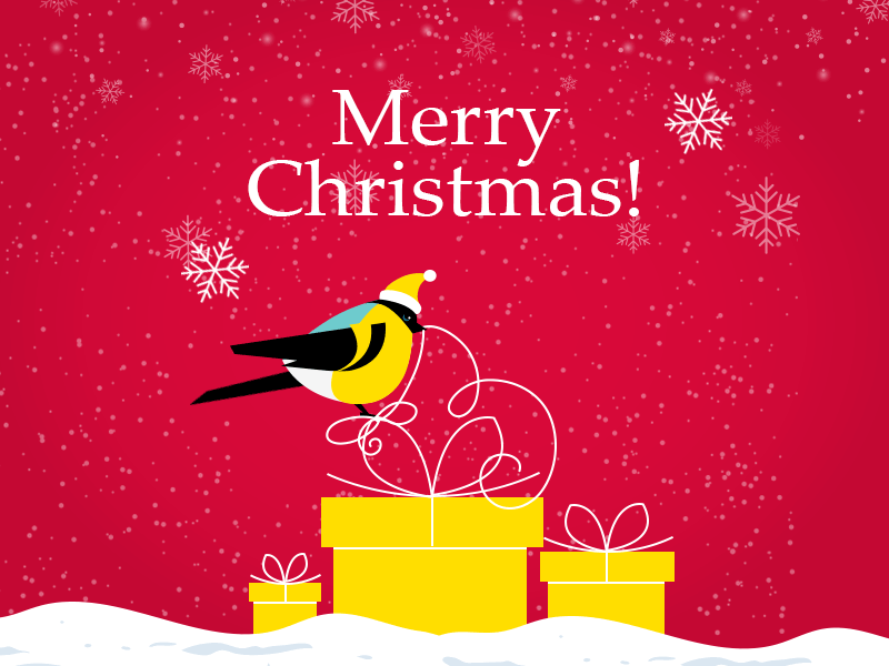 Merry Xmas animation bird christmas colorful design flat gif gift illustration snow vector winter xmas xmas card