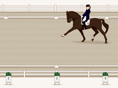 Dressage Arena equestrian horse illustration sport vector