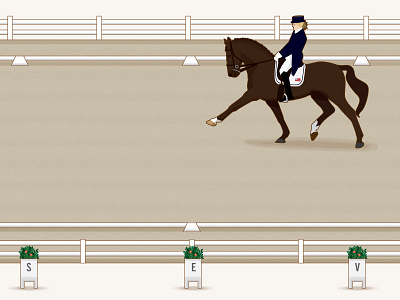 Dressage Arena