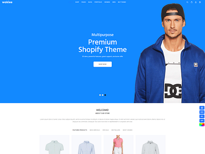 Looking for a Professional Shopify website / One product store?