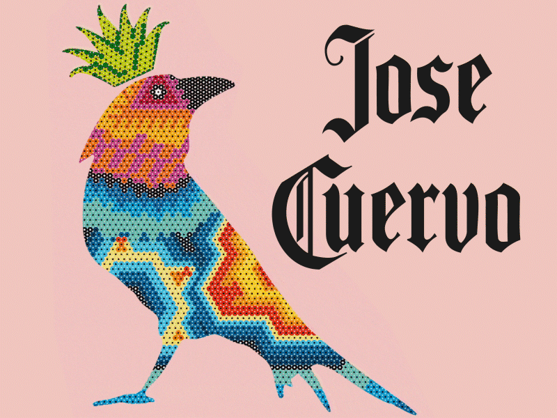 Modern Mexican Art animation design graphic design