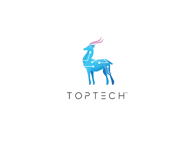 Toptech Visual identity branding identity logo tech technology toptech visual