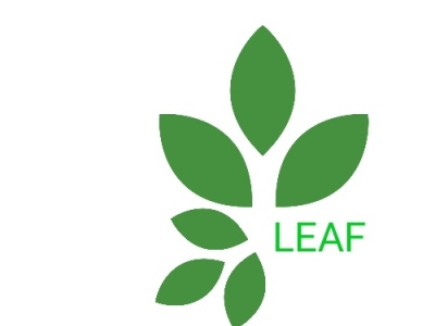 Leaf logo branding