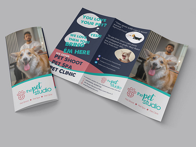 Brochure Design - The Pet Studio