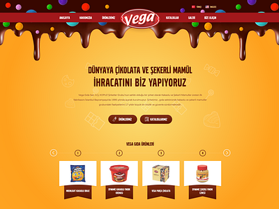 Vega Gıda chocolate dragee draje export food vega çikolata