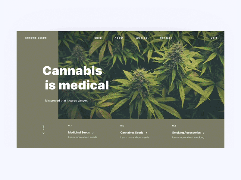 Cannabis Main Page Interaction Idea