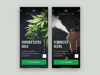 Errors Seeds // Mobile screens