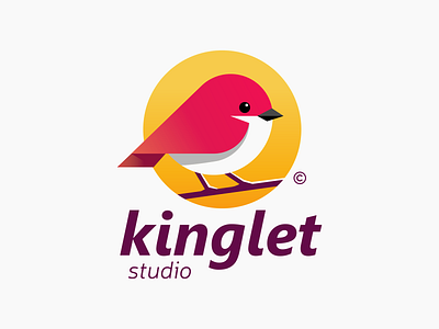 Kinglet / Studio