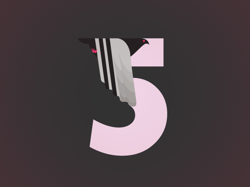 Pigeons and PLanes 5 year anniversary. 5 number bird pigeon