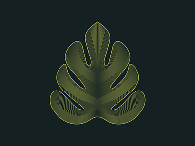 Rumble - Leaf Texture drawing illustrator leaf monstera
