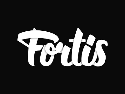 Fortis Hand-Lettered Logo-Type brush pen calligraphy hand lettering hand lettering lettering logo logo type shadow slketch type typography