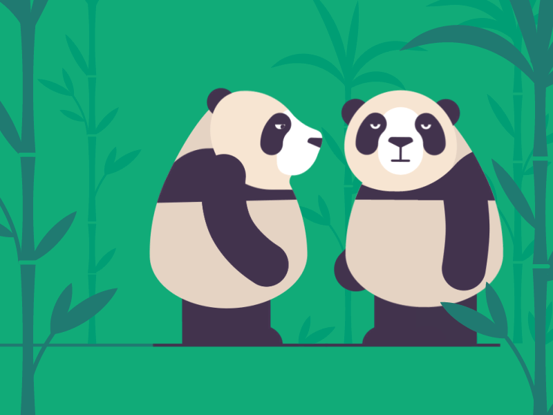 Panda Action action aftereffects animal animation cute fight jungle panda pandastyle